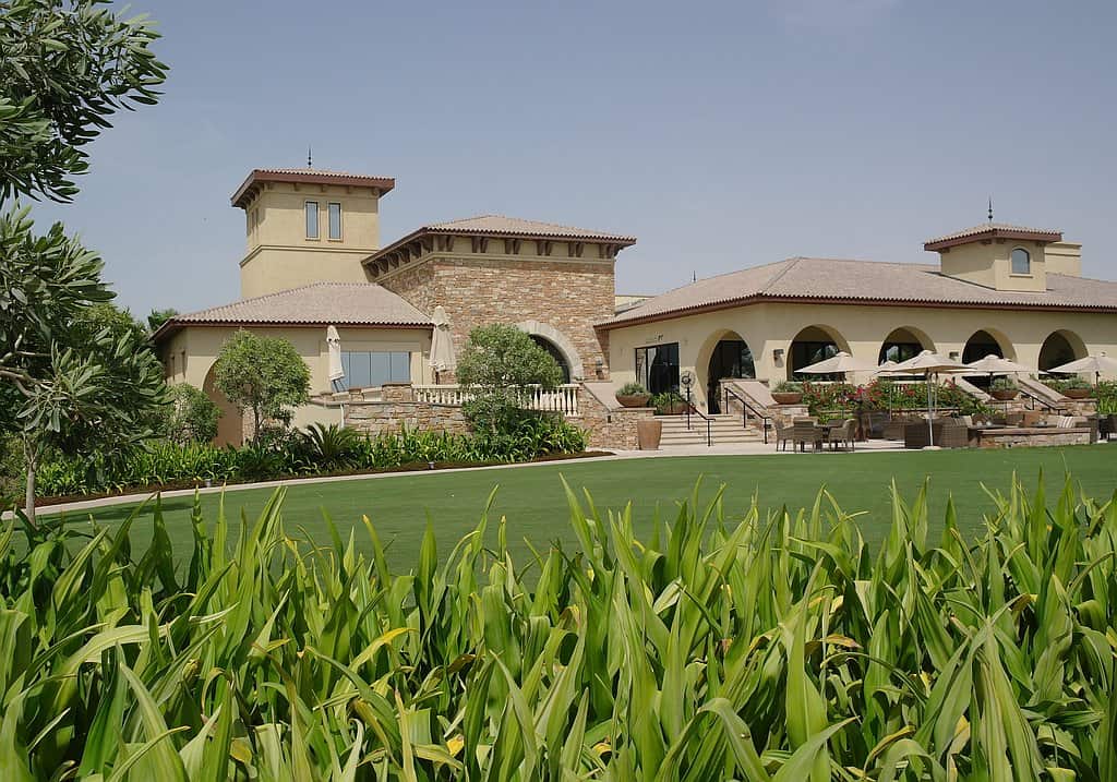 Saadiyat Golf