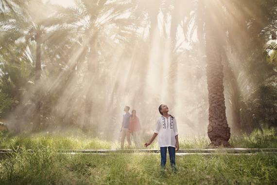 Al Ain – Die Oasenstadt im Emirat Abu Dhabi