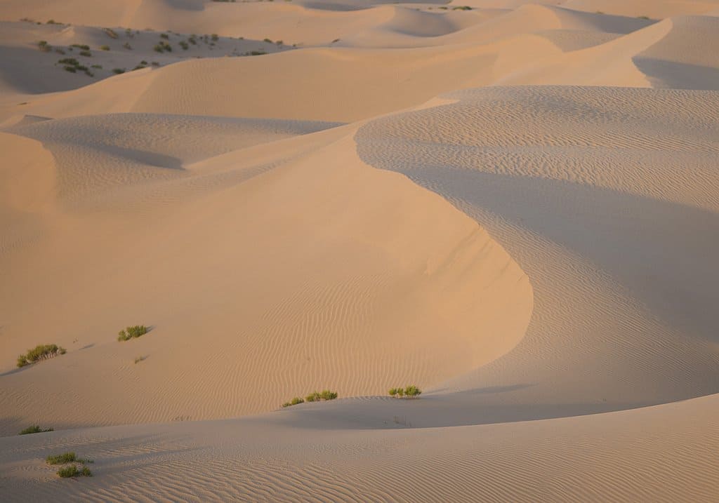 Fossil Dunes | Abu-Dhabi.de