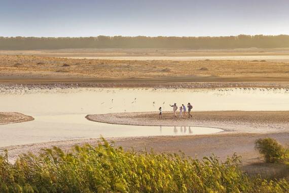 Die 6 schönsten Naturschätze im Emirat Abu Dhabi