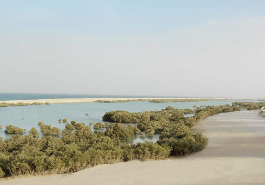 Mangroven Abu Dhabi