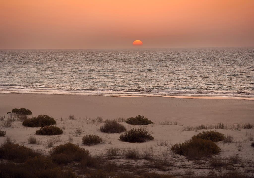 Sonnenuntergang Saadiyat Island Strand