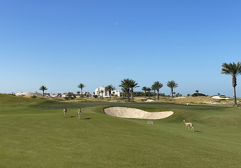 Saadiyat Beach Golf Club