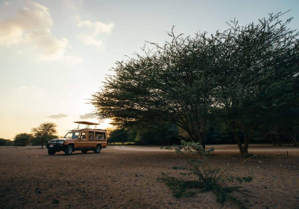 Safari auf Abu Dhabis Insel Sir Bani Yas