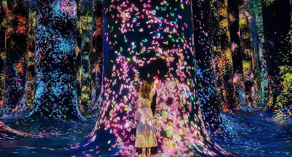 Digitale Schmetterlingsschwärme im TeamLab Phenomena Abu Dhabi